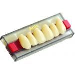 Зубы Anis фронтальные нижние B2-44