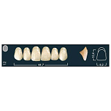 Зубы фронтальные верхние B1/12 (Ivoclar)