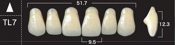 Купить Зубы акриловые, фасон ТL7, цвет В1 Yamahachi, гарнитур