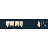 Зубы фронтальные нижние A3/53 (Ivoclar)