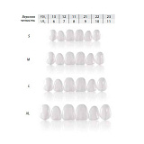 Виниры Coomponeer Refill Enamel Universal, композитные для верхней челюсти размер 12 (Colten)
