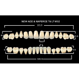 Зубы акриловые, фасон Т6, цвет А3 Yamahachi, гарнитур