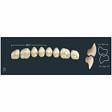 Зубы Ivocryl боковые верхние A-D/30 (С1), 6шт (Ivoclar)