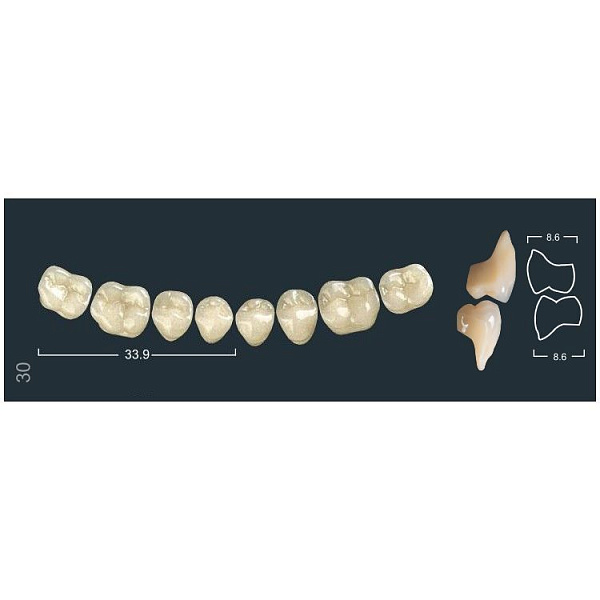 Купить Зубы жевательные нижние A4/30 (Ivoclar)