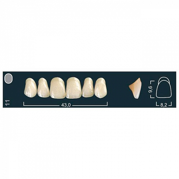 Купить Зубы Ivocryl фронтальные верхние A-D/11 (C3), 6шт (Ivoclar)