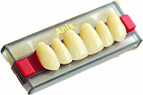 Зубы Anis фронтальные верхние C1-12