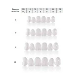 Виниры Coomponeer Refill Enamel Universal, композитные для верхней челюсти размер 11 (Colten)